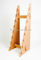 Il banco di mostra di legno solido semplice progetta 8 pezzi per il cliente del pattino dello scaffale di esposizione fornitore
